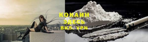 a pvp Зеленокумск