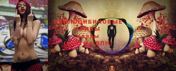 a pvp Зеленокумск
