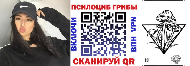 Купить где  Десногорск  Псилоцибиновые грибы мицелий 